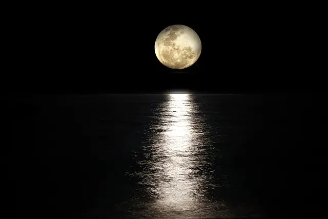 gentle nature - moonlight